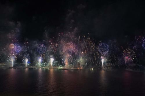 DSC 2471